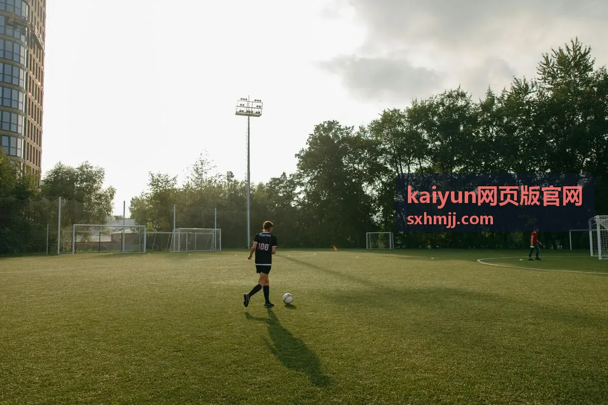 kaiyun网页版官网 更新提示与说明示意图