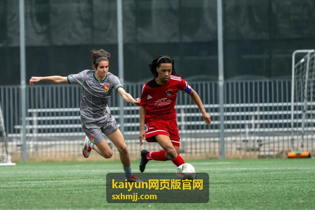 kaiyun网页版官网打开前准备事项示意图