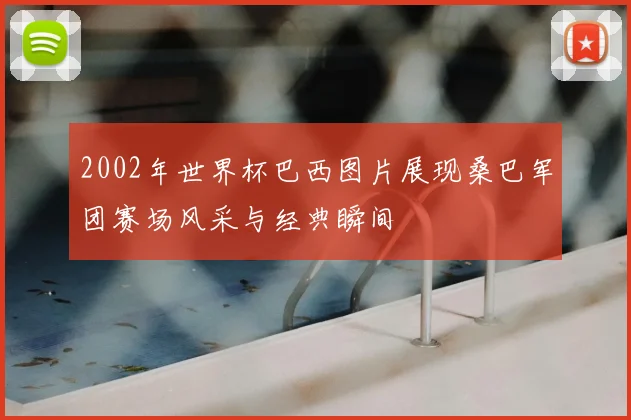 2002年世界杯巴西图片展现桑巴军团赛场风采与经典瞬间