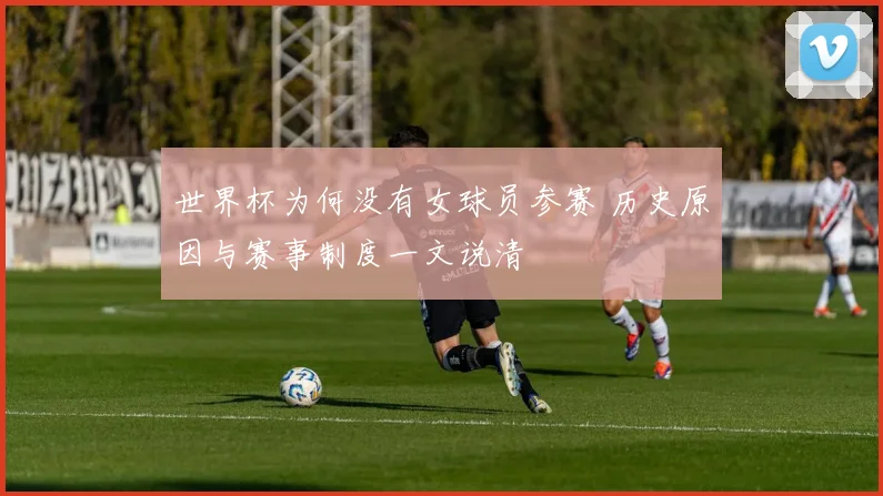 世界杯为何没有女球员参赛 历史原因与赛事制度一文说清